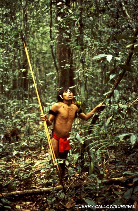 Rare Aerial Footage Showing Uncontacted Yanomami Indian Tribe in Brazil Released