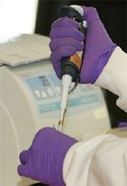 One of the Sex Chromosomes Is Involved in the Development of Cancer