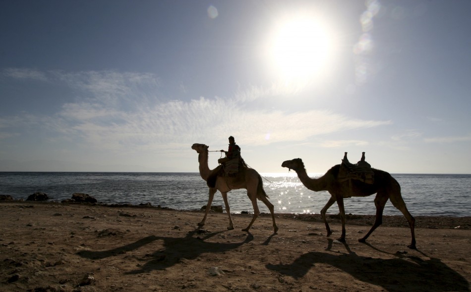 Two American Tourists Kidnapped In Egypt’s Sinai | IBTimes UK