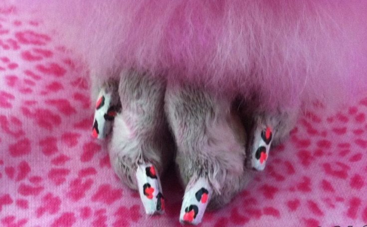 Doggie Nail Art