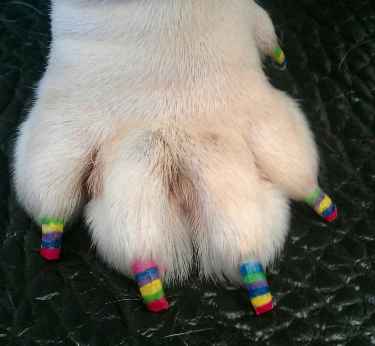 Doggie Nail Art