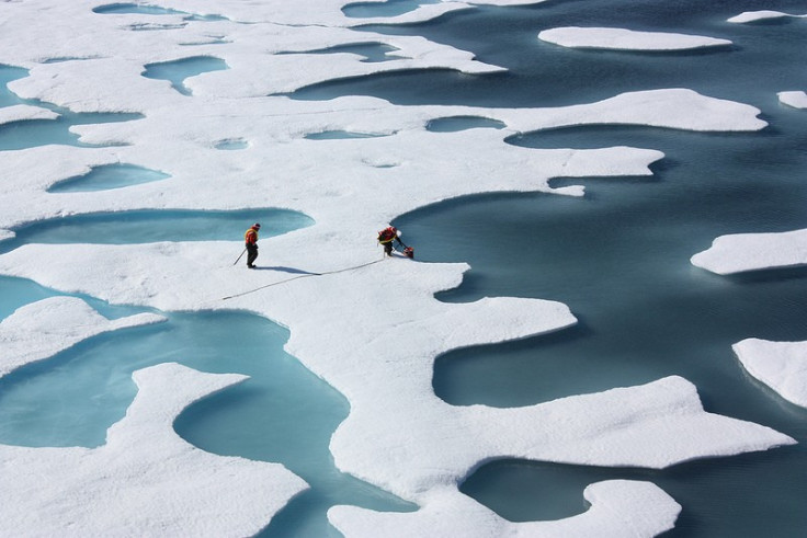 Microscopic Plants Discovered Underneath Thick Arctic Ice, Says Nasa Scientists