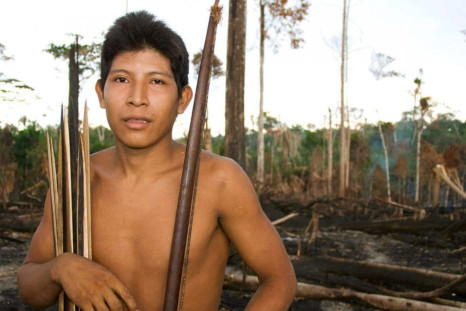 Britain Concerned for Uncontacted Awa Tribe: MPs Call on Brazil to Stop Logging to save World’s ‘Most Threatened’ Tribe