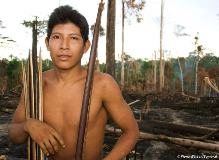 Britain Concerned for Uncontacted Awa Tribe: MPs Call on Brazil to Stop Logging to save World’s ‘Most Threatened’ Tribe