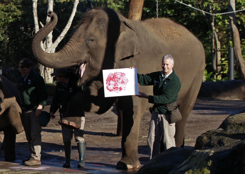 Elephant Pak Boon and keeper Miller pose with the elephants footprint at Taronga Zoo in Sydney