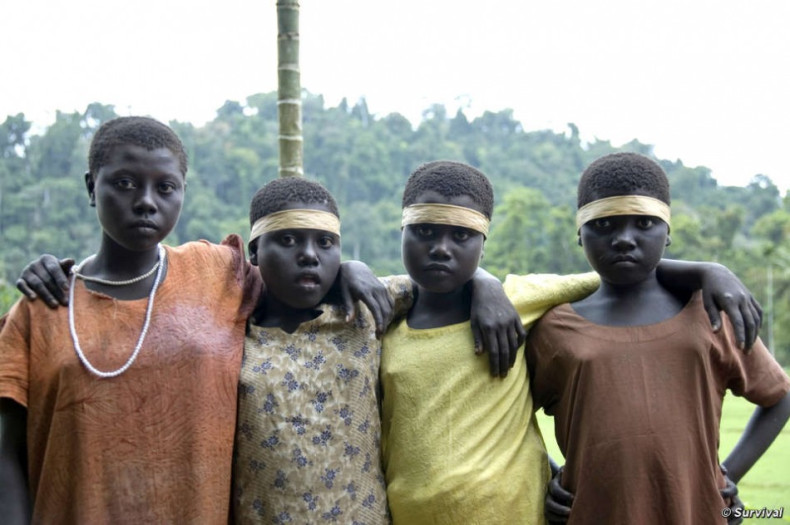 Controversial Tourist Resort Banned For Operating in Jarawa Tribe Buffer Zone