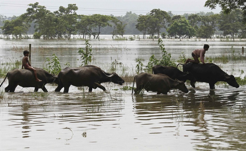 Northeast floods
