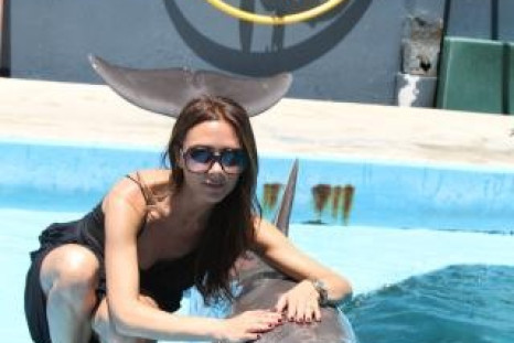 Victoria Beckham with dolphins