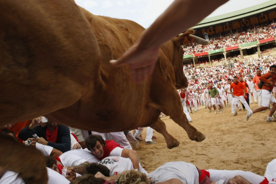 Fighting cow leaps over bull runners in Plaza de Toros following first running of the bulls of San Fermin festival in Pamplona