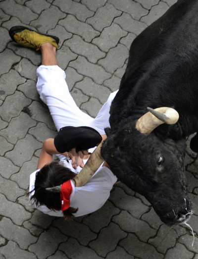 A runner is dragged by his scarf by a Dolores Aguirre fighting bull at the entrance to the bullring during the first running of the bulls of the San Fermin festival in Pamplona A runner is dragged by his scarf by a Dolores Aguirre fighting bull at the entrance to the bullring during the first running of the bulls of the San Fermin festival in Pamplona