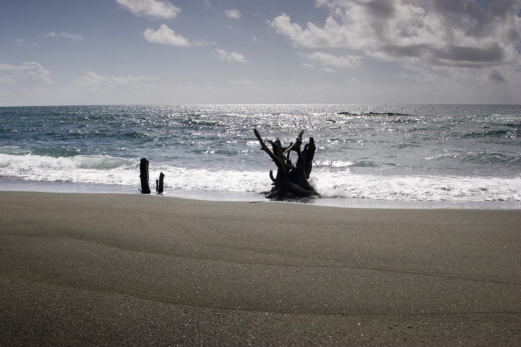 Tobago beach