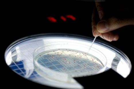 Ancient Life Re-evolved: 500 Million Year Old Gene Put in Modern Organism to Track Evolution