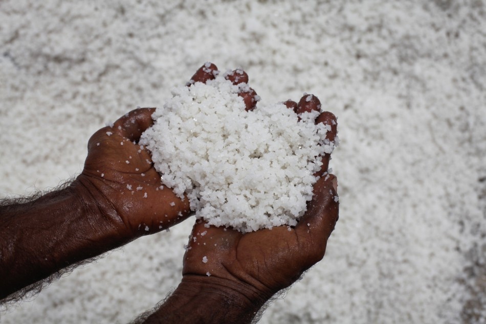 food-companies-running-out-of-ways-to-reduce-salt-in-food