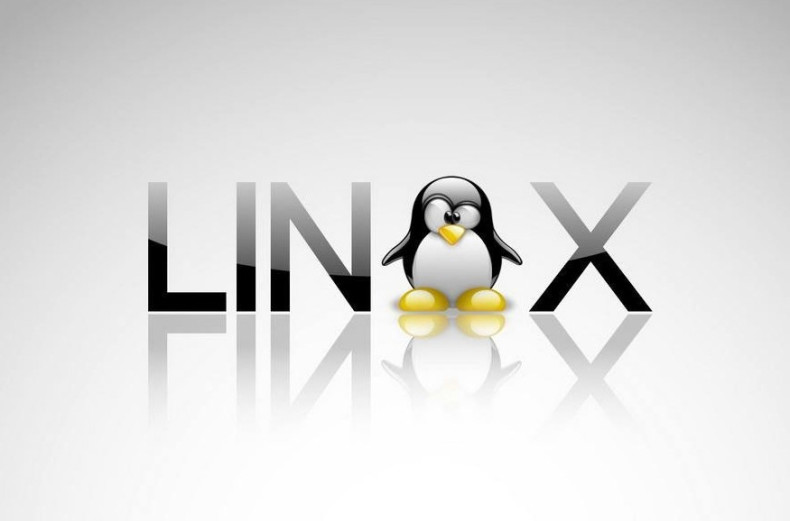 Valve Linux Steam Steamd Penguins Ubuntu L4D2