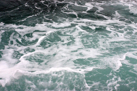 Scientists Unravel Southern Ocean Carbon Capture and Storage Mechanism