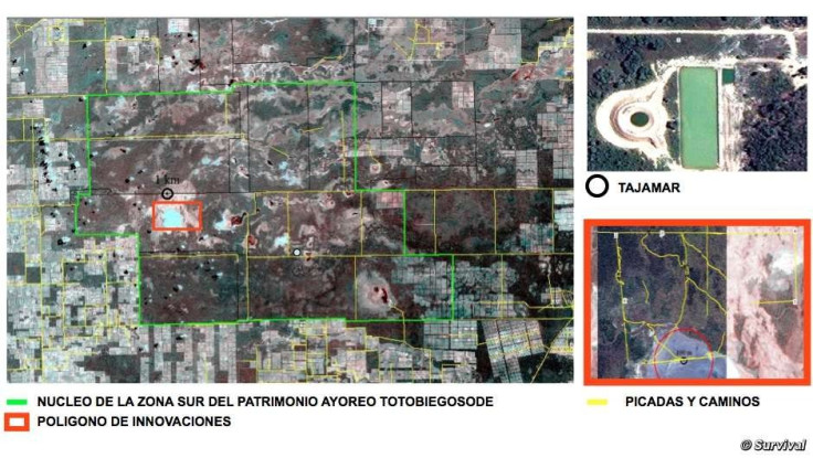 Satellite Pictures Reveal Secret Agenda of Ranchers to Steal Uncontacted Tribe Land