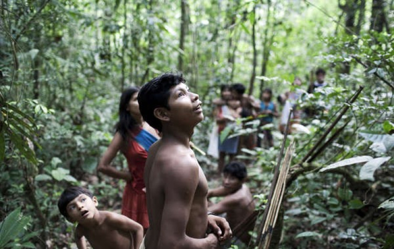 Brazil Judge Halts Expansion of Controversial Rail Line through Threatened Tribe Territory