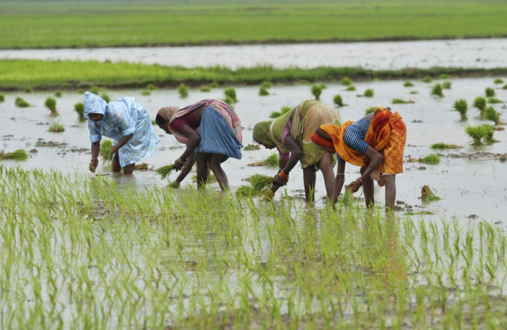 India Monsoon