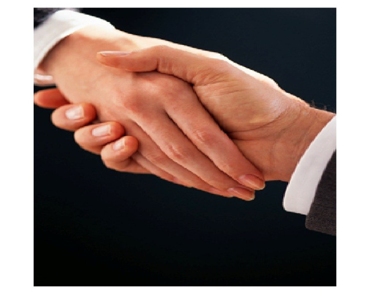 A handshake between two business partners