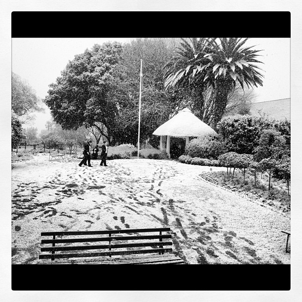 Snow Johannesburg 5