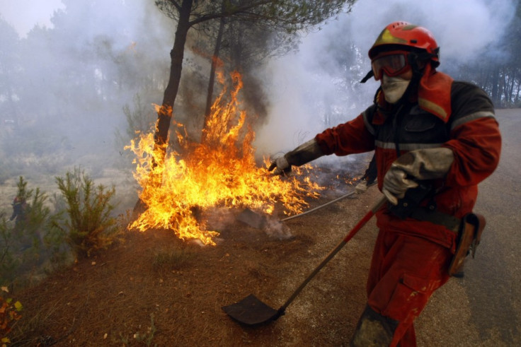 canary islands wildfires