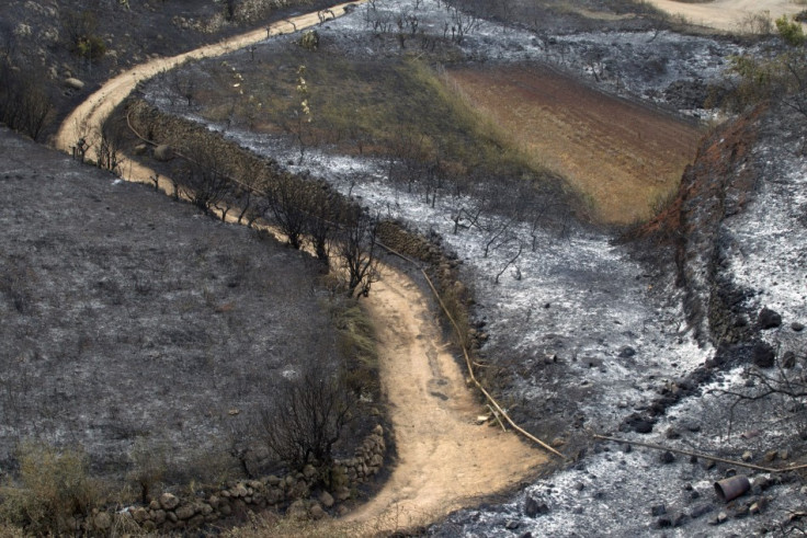 canary islands wildfires