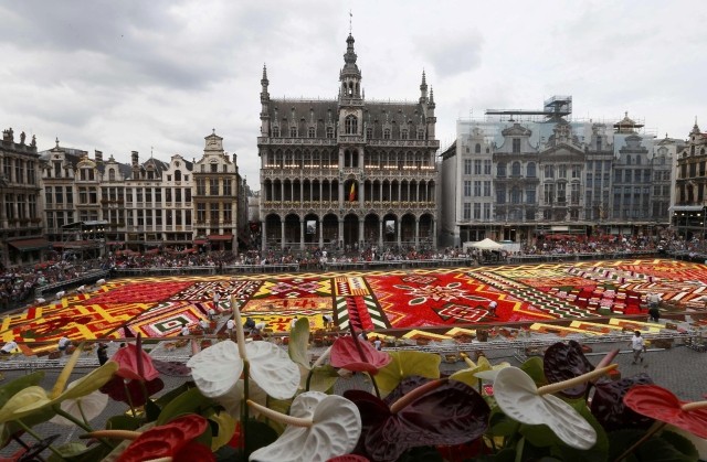 Brussels Grand Place Flower Carpet 2012
