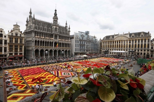Brussels Grand Place Flower Carpet 2012