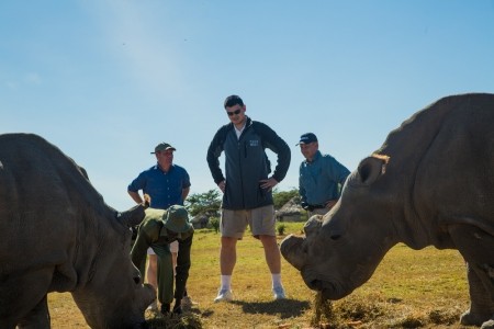 Yao and the rhinos