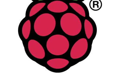 Raspberry Pi official logo