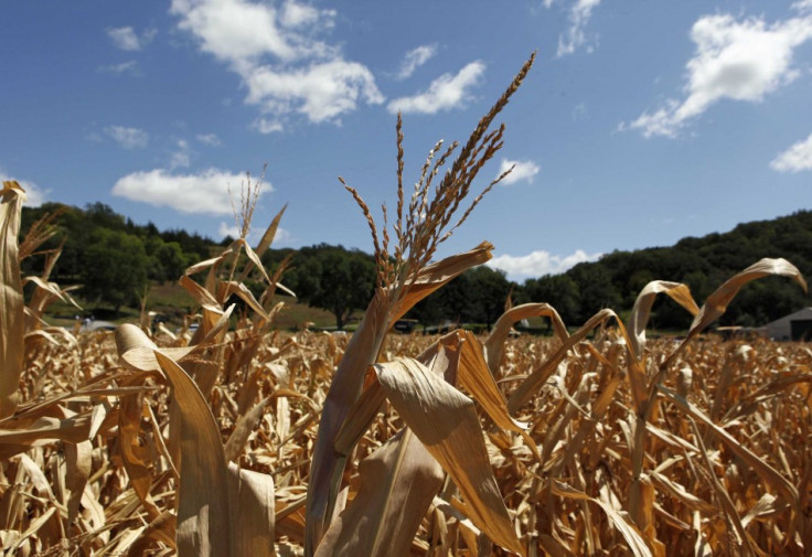 US Agriculture