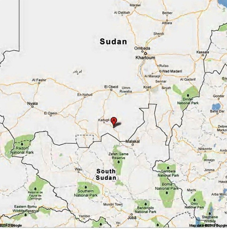 Sudan plane crash