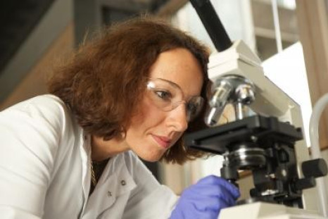 A Compound in Green Tea Could Be Used To Cure Cancer