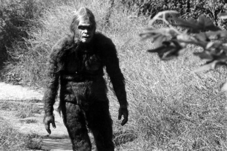 Bigfoot