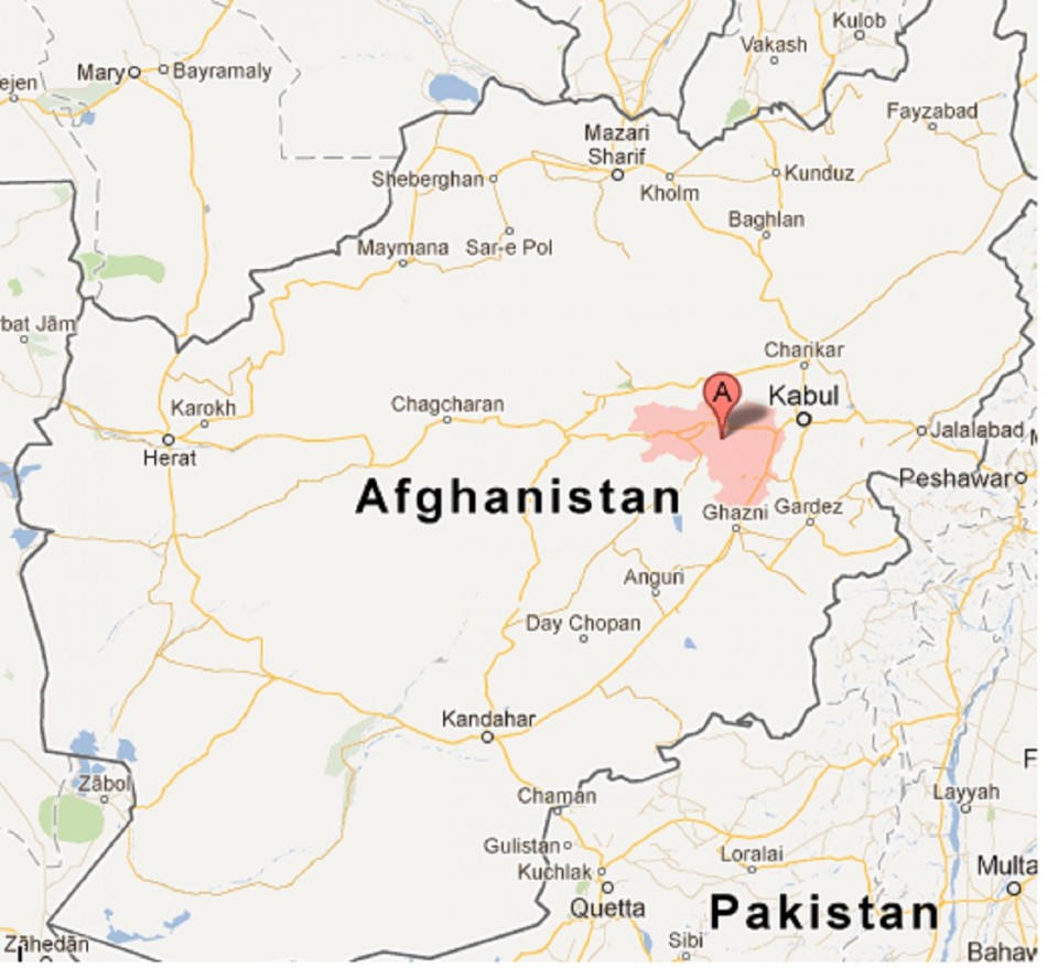 Twin Suicide Attacks Near Nato Base in Afghanistan Leave at Least 12 ...