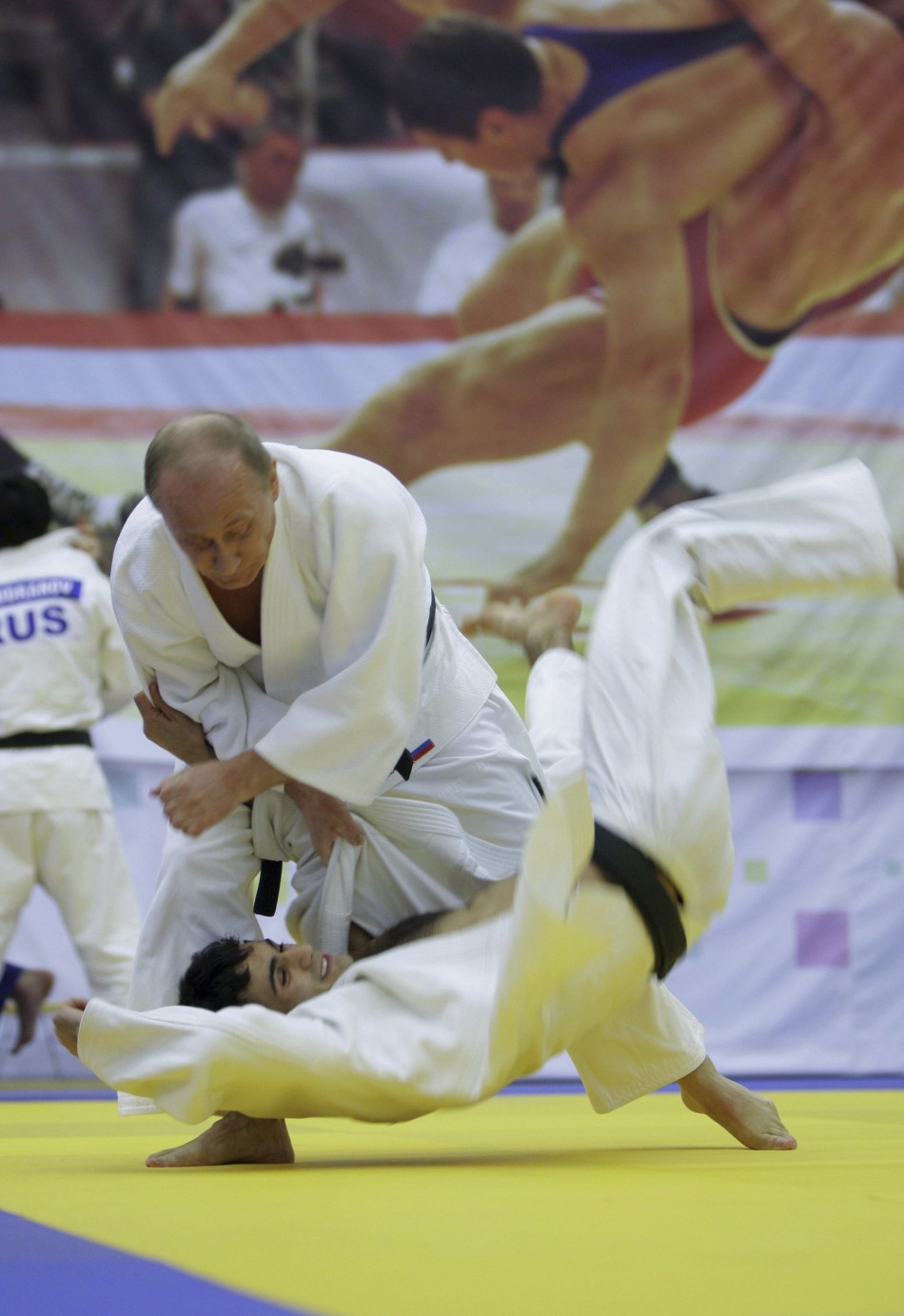 The judoka