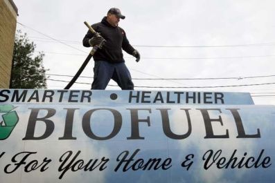 Biofuels demand to grow 133 pct by 2020, but supply deficits seen