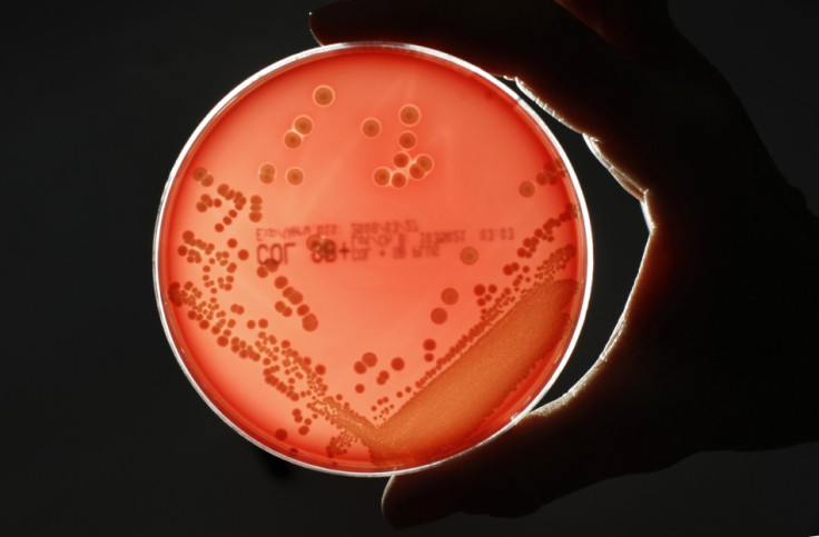 Coronaviruses are causes of the common cold but can also include more severe illness, such as the virus responsible for Sars (Reuters)