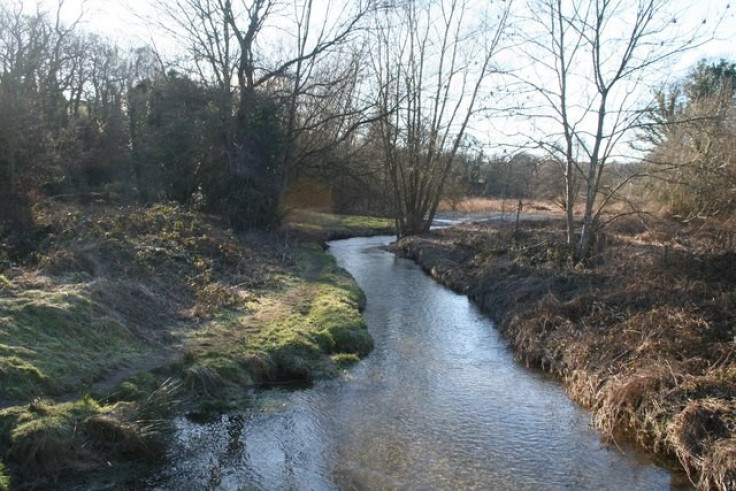 A fire service spokeswoman described the River Clywedog as "fast flowing" following heavy rain (wikicomms)