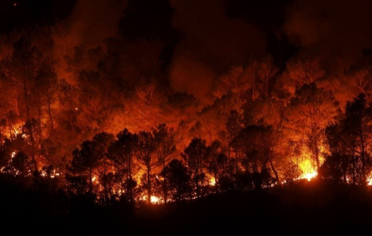 Spain forest fire