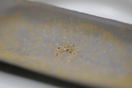 Gold flecks produced by the art-science experiment The Great Work of the Metal Lover  (G.L. Kohuth)
