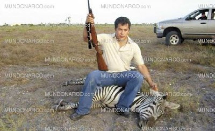 Lazcano on his zebra