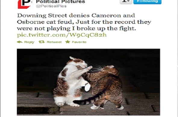 Larry (l) and Freya go at it tooth and claw