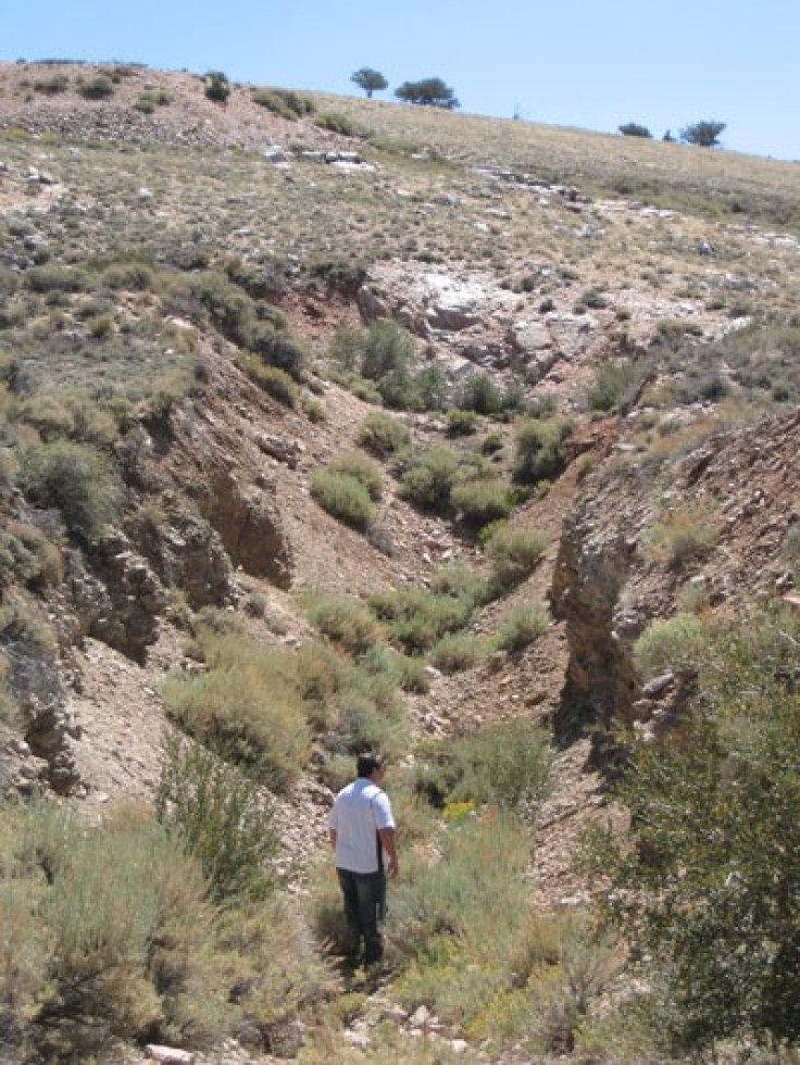 Trench on Tertiary Minerals' Nevada MB project (Photo: Tertiary Minerals)