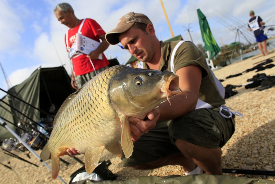 World Carp Angling Championship 2012
