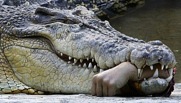 Man eaten by crocodiles in Philippines Man eaten by crocodiles in Philippines