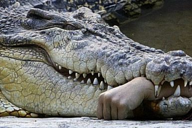 Man eaten by crocodiles in Philippines