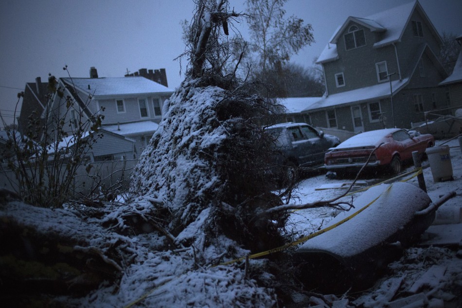 Snow covers fallen tree in a neighborhood which was left destroyed by Hurricane Sandy in the Staten Island borough of New York