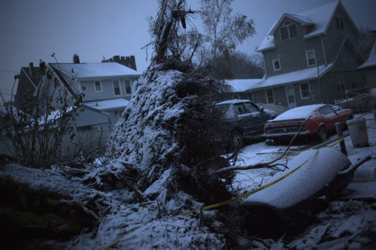 Snow covers fallen tree in a neighborhood which was left destroyed by Hurricane Sandy in the Staten Island borough of New York