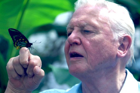 Attenborough’s Ark: Natural World Special